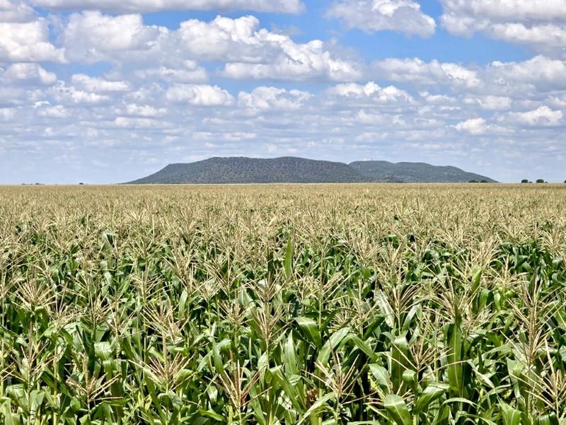 0 Bedroom Property for Sale in Bloemfontein Rural Free State